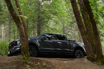 DSC_4637 (Large).JPG